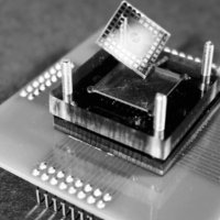 Neurons on a chip let drones smell bombs...